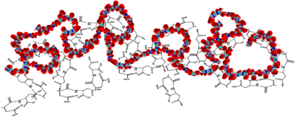 聚天冬氨酸空间结构