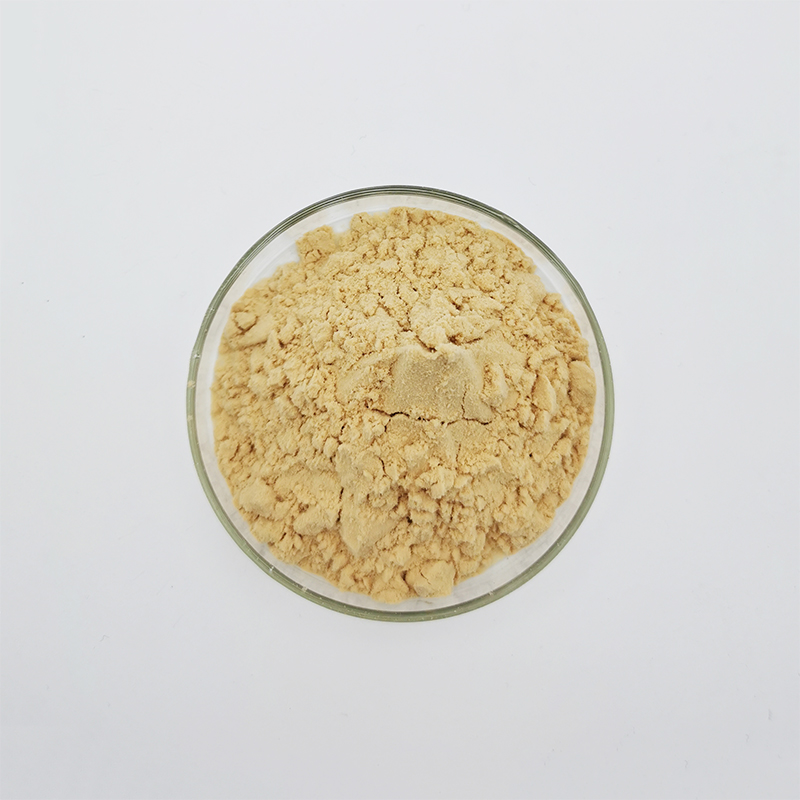 聚天门冬氨酸远联化工粉体图片