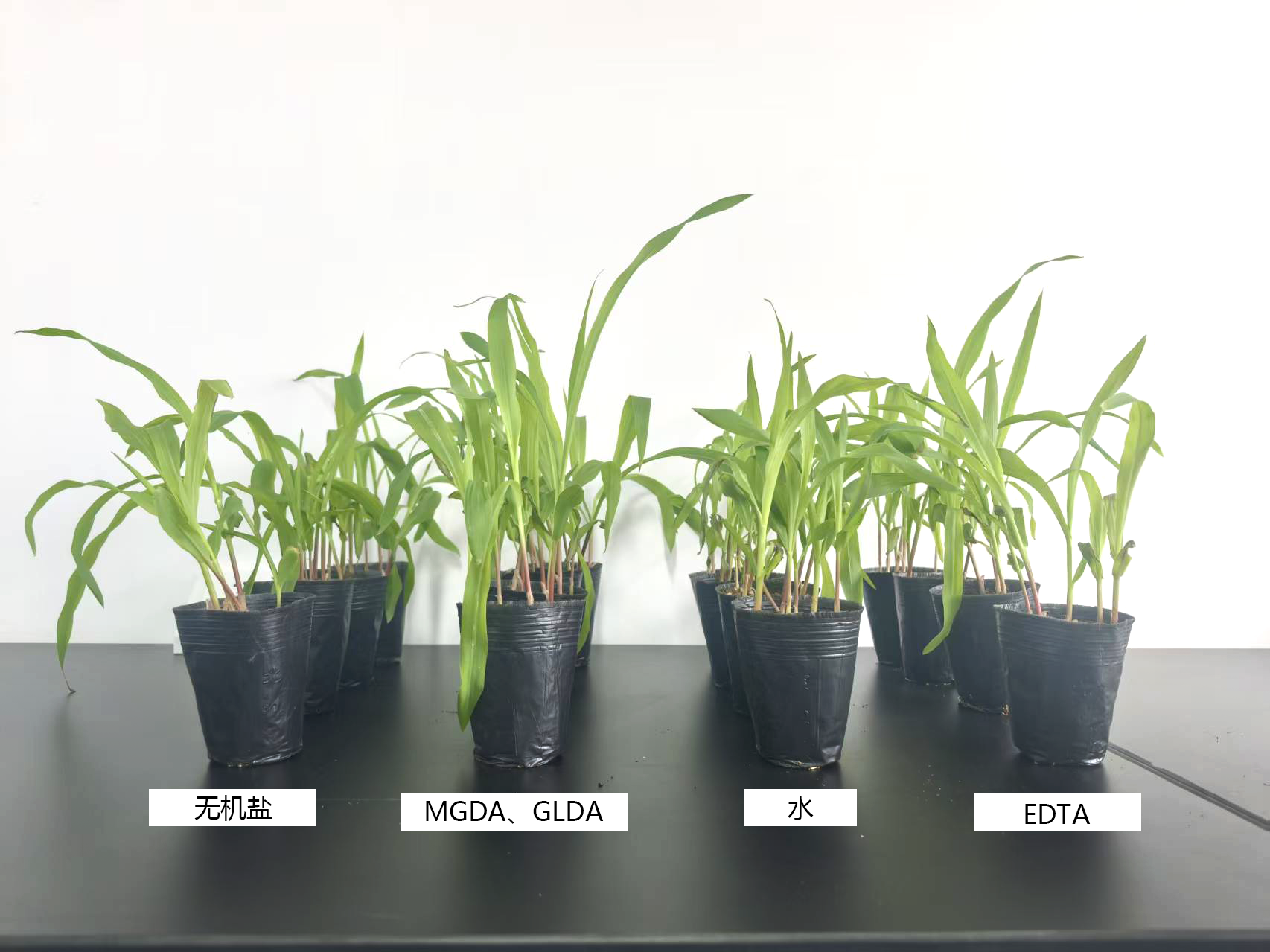 glda和mgda对于植物长势与其它对比
